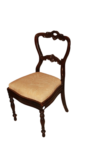 Paire de Chaises Françaises Style Louis-Philippe en Bois de Palissandre XIXe Siècle