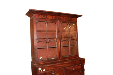 Early 19th century English Regency style cabinet Cupboard  in mahogany and mahogany feather